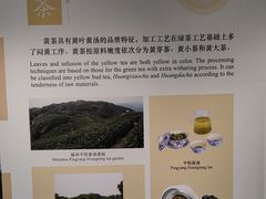 -中国茶叶博物馆(双峰馆区)