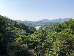 -天鹿湖森林公园