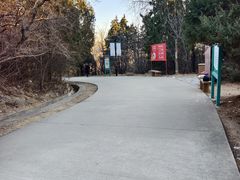 -府君山公园
