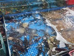 -霞涌市场海鲜摆卖区