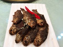 -正阳春烤鸭店(杨楼店)