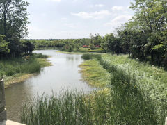 -东平国家森林公园