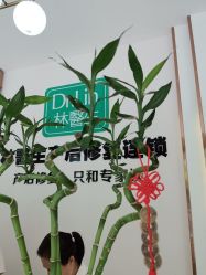 -Dr.林醫生产后修复·配方产康店(南京大厂店)