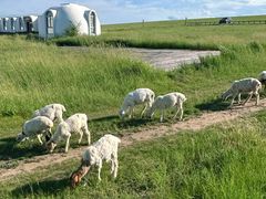 -呼和诺尔旅游景区