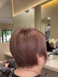 点击看大图 -Garden花園造型