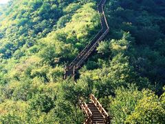-大岭沟猕猴桃谷风景区
