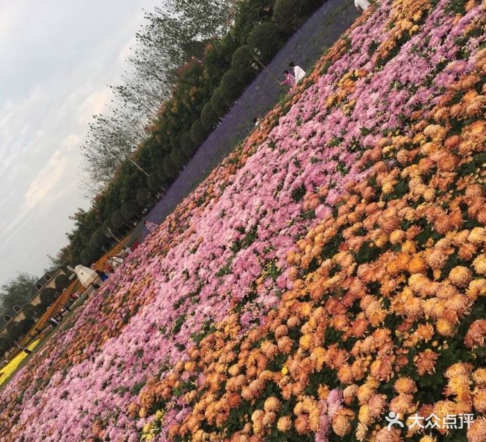 南京雨發生態旅遊區圖片