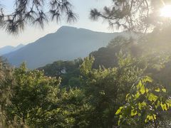 -波尔登森林公园