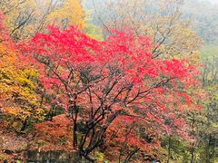 -丹东天桥沟景区