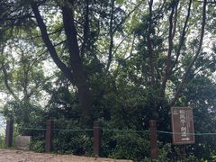 -虞山风景区