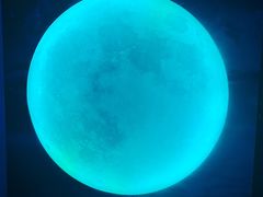 -天津梵高星空艺术馆(天河城旗舰店)