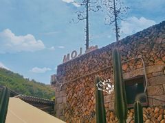 -MOJ coffee(瓯海泽雅水碓坑店)