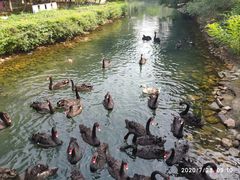 -长白岛森林公园