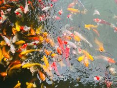 -泰安地下龙宫景区