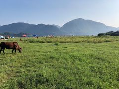 -罗坑大草原