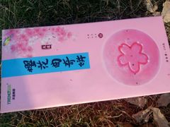 -天适樱花悠乐园