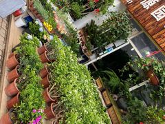 -爱侣宠医·鹦鹉专科·小型哺乳类·异宠专科(灵石路店)