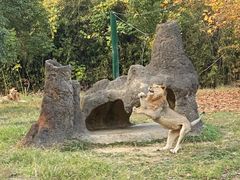 -杭州野生动物世界