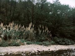 -水墨汀溪风景区