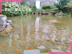 -太湖湾开元名庭大酒店