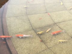 -大连人民广场