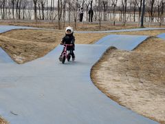 -天津东丽湖风景区