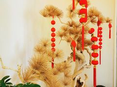 -厨掌柜长寿菜馆(古镇店)