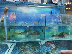 -牟记江湖重庆地标特色菜鱼蛋海鲜无刺鲫鱼(巴南区黑金冠十多年好店)