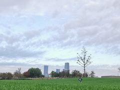-上海山野camping·户外天幕烧烤·团建拓展营地