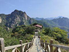 -大岭沟猕猴桃谷风景区