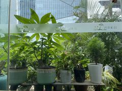 -芭缇沁园椰子鸡(中航紫金新天地店)