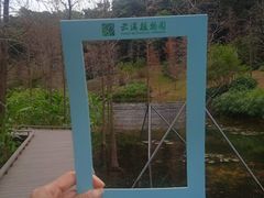 -云溪植物园