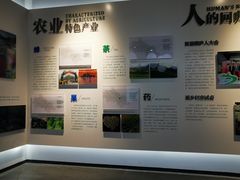 -桐庐规划馆