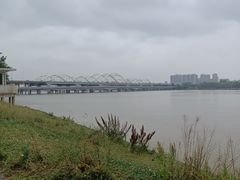 -灞河西岸滨河公园