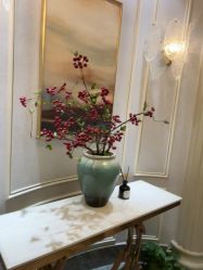 -雅曼妮spa美容养生