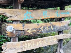 -寂照庵