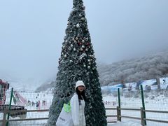 -太子岭滑雪场