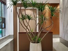 -润泽天·湘味家宴(岳麓山店)