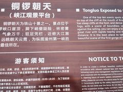 -铁山坪森林公园