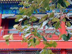 -北京石刻艺术博物馆(五塔寺)