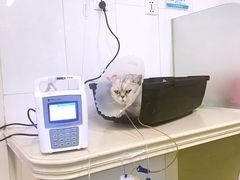 -美联众合动物医院·24h京西诊疗中心