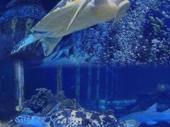 -太平洋海底世界