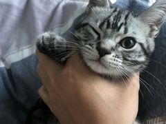 -唱吧麦颂KTV(新唐万科广场店)