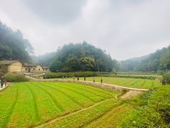 -韶山毛泽东同志故居