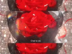 -艾加柒克蛋糕茶歇甜品台(春熙路店)