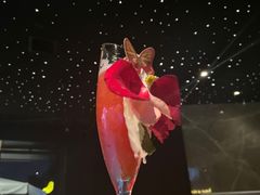 -STARRY CAFE & LOUNGE BAR(高新店)