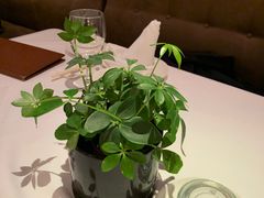 -苏浙汇(古北店)