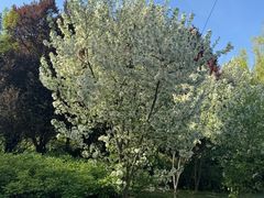 -洛阳市隋唐城遗址植物园