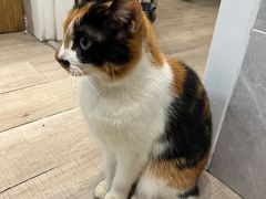 -吉友粥底火锅(方斜路店)