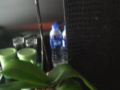 -上海虹桥西郊假日酒店